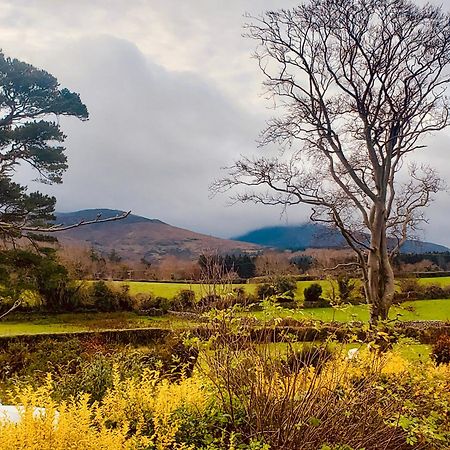 Bryansford Cottage エクステリア 写真