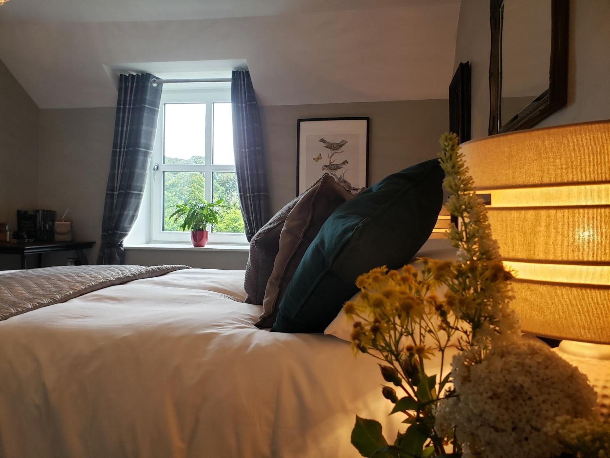 Bryansford Cottage エクステリア 写真