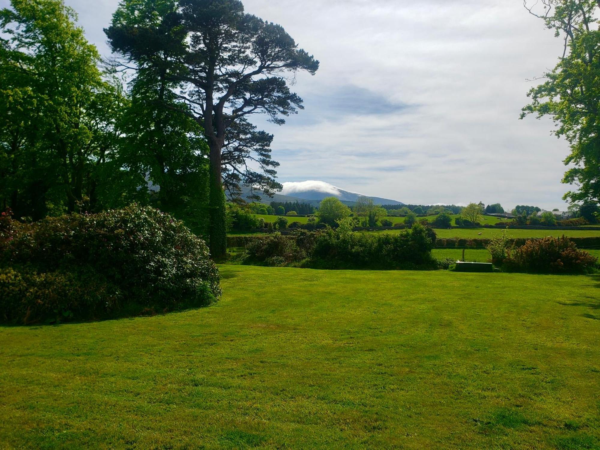 Bryansford Cottage エクステリア 写真